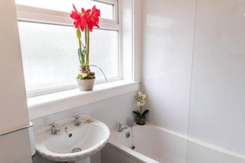 글라스고 Cosy 1 Bed With Parking In City Centre 아파트 외부 사진